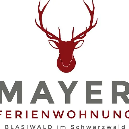 Ferienwohnung Mayer Schluchsee Exterior foto