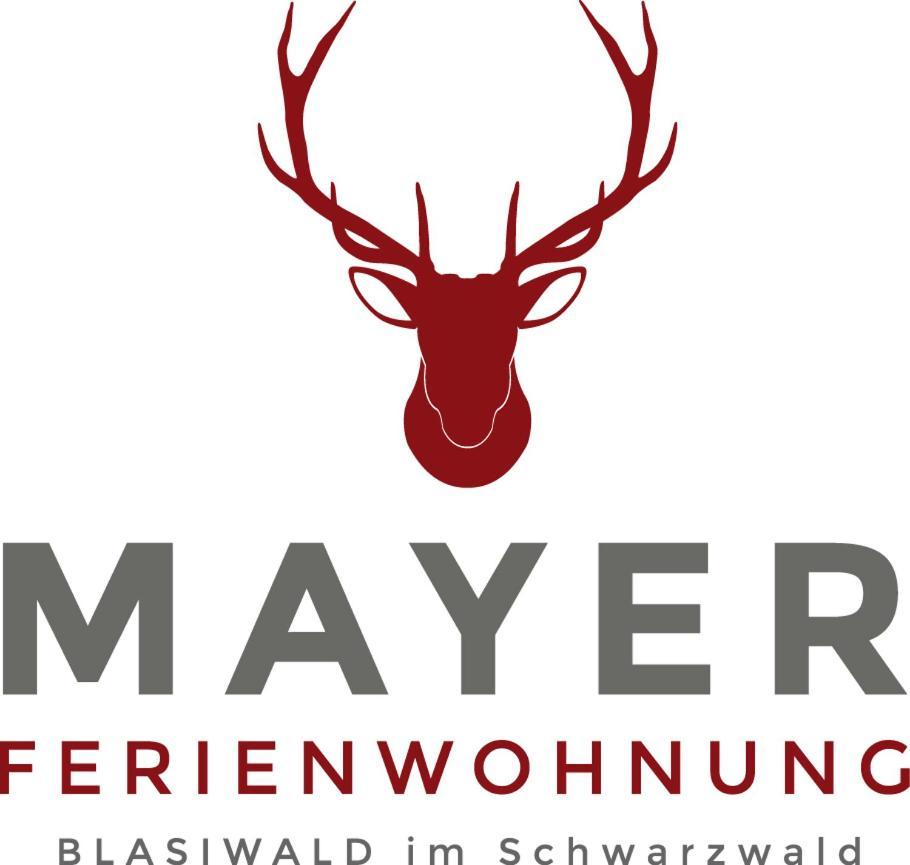 Mayer Schluchsee